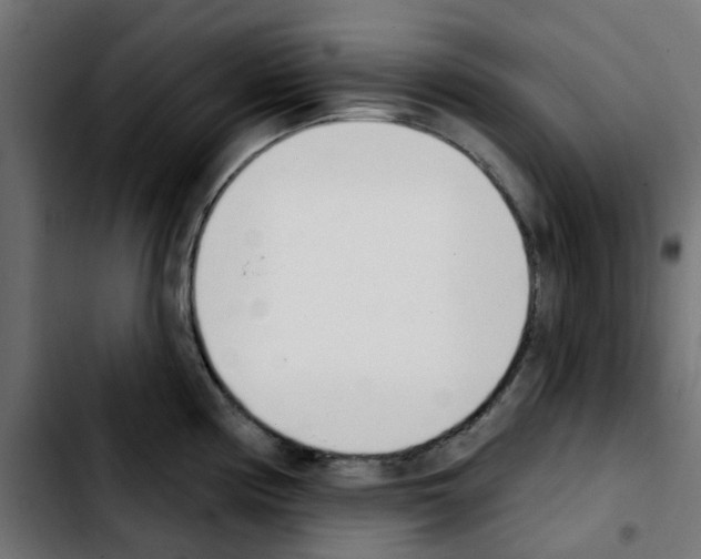 X0000103931194200810311510