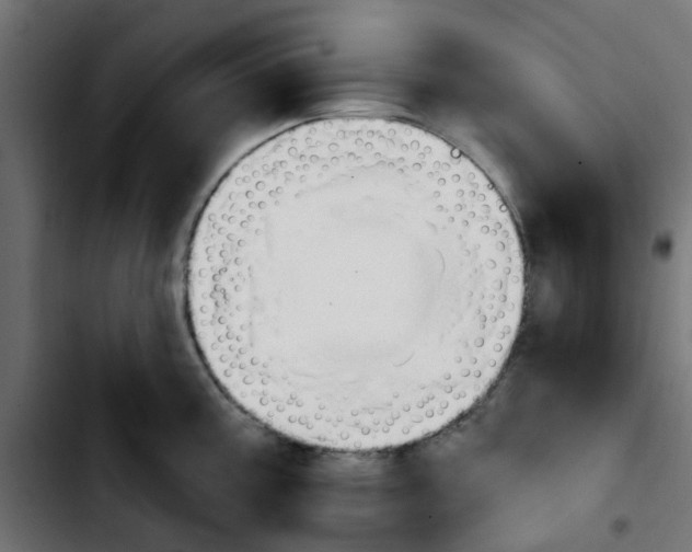 X0000103931195200810311510