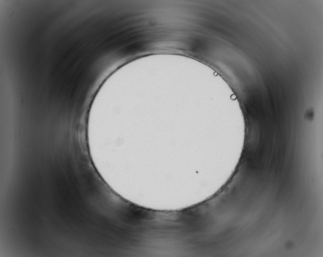 X0000103931196200810311510