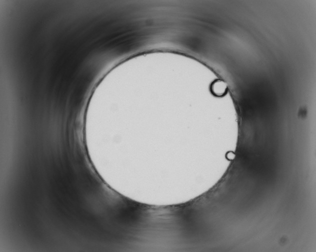 X0000103931199200810311510