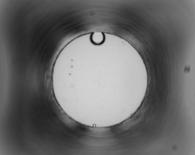 X0000103931200200810311510