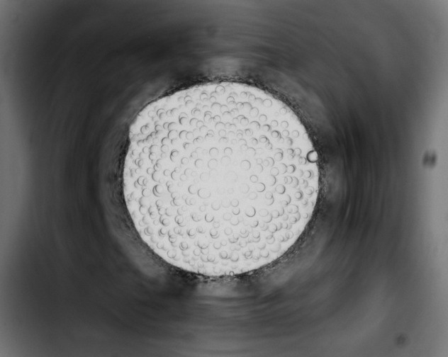 X0000103931201200810311509