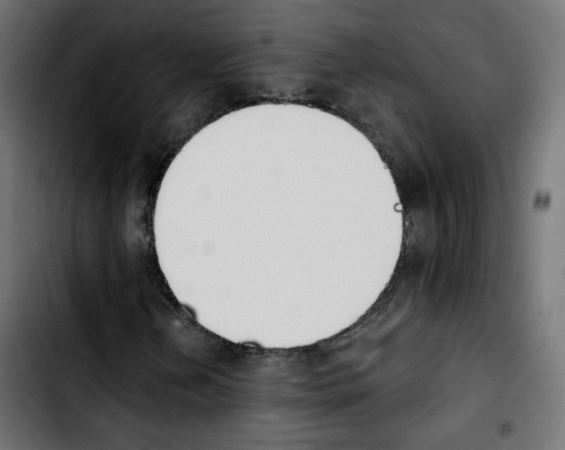 X0000103931202200810311509