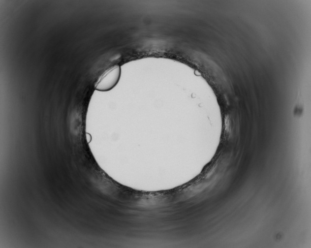 X0000103931203200810311509
