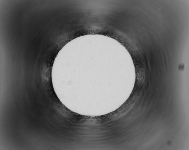 X0000103931204200810311509