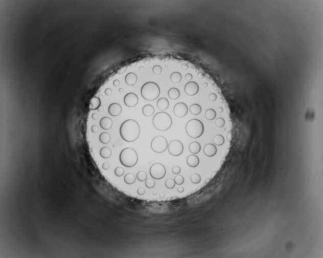 X0000103931205200810311509