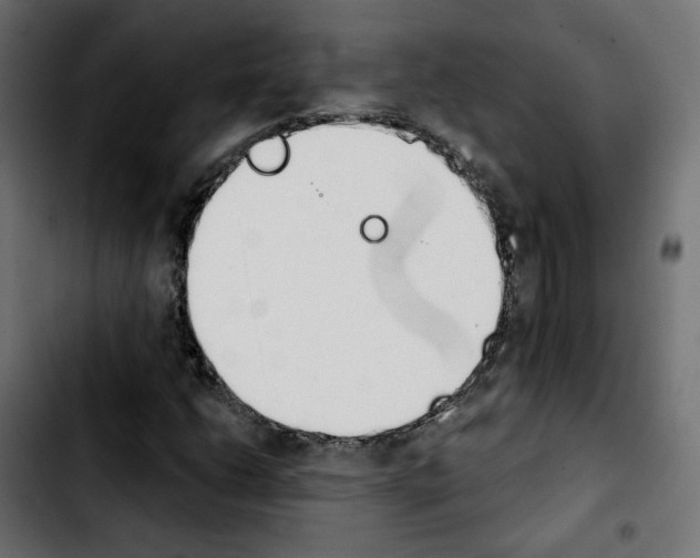 X0000103931206200810311509