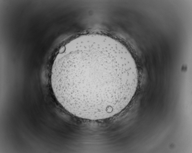 X0000103931207200810311509