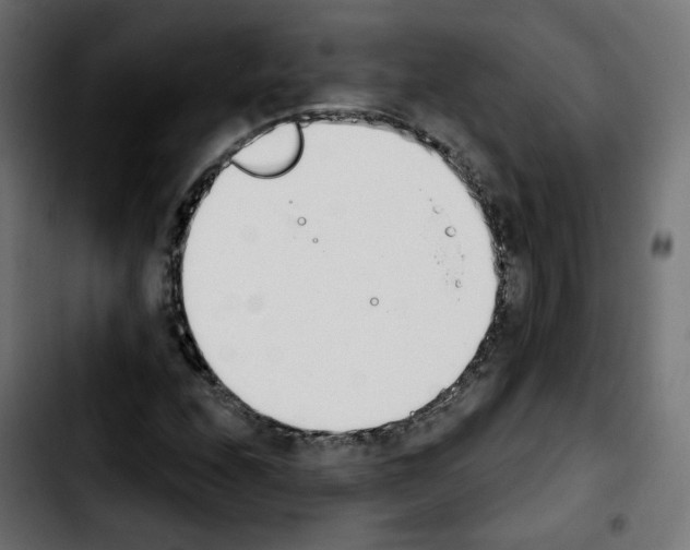 X0000103931208200810311509
