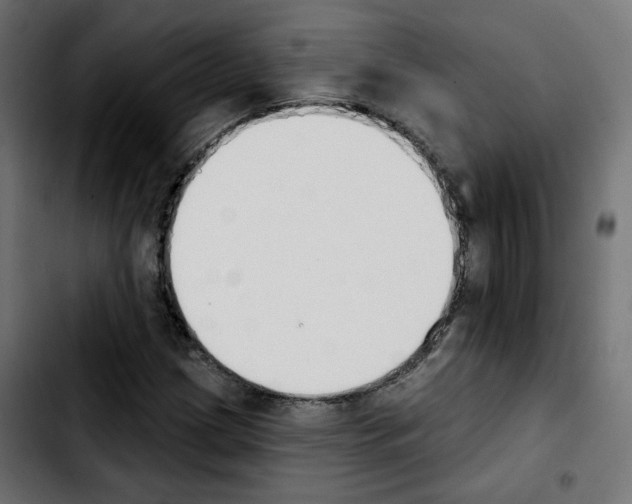 X0000103931209200810311509