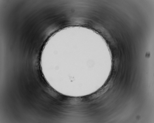 X0000103931210200810311509