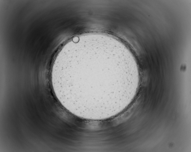X0000103931211200810311509