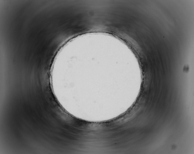 X0000103931212200810311509