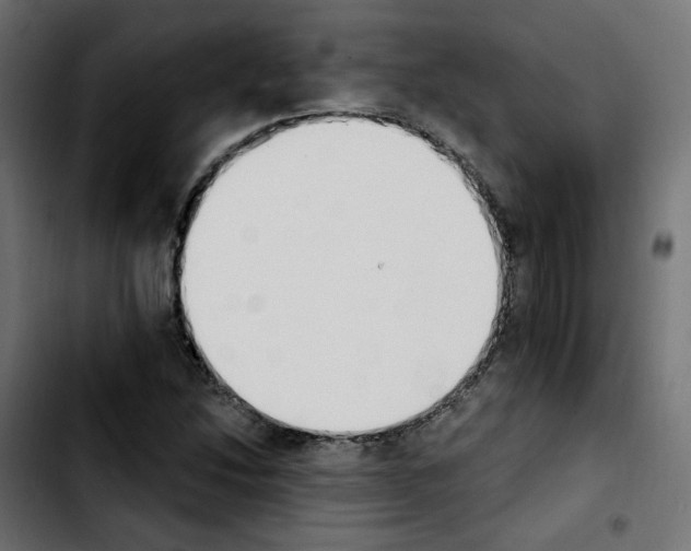 X0000103931214200810311509