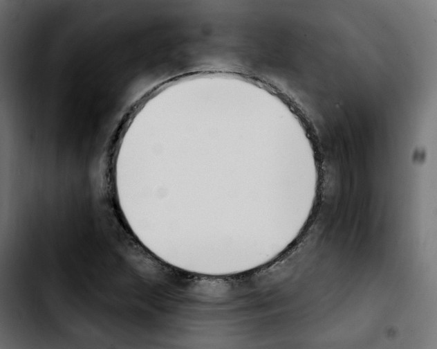 X0000103931215200810311509