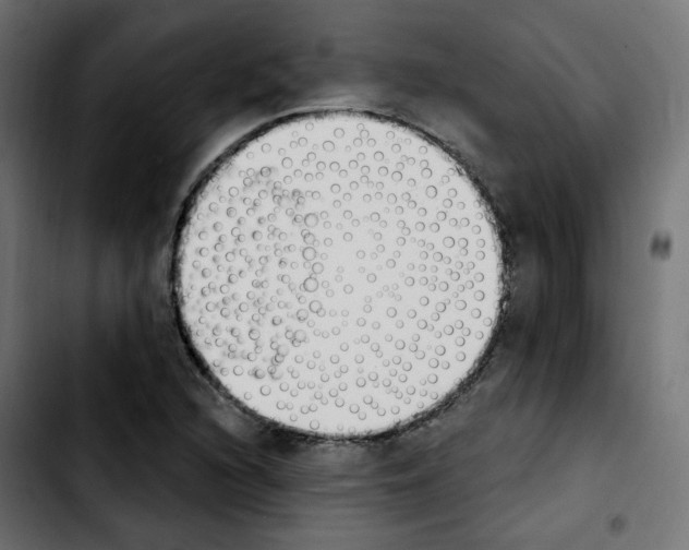 X0000103931216200810311509