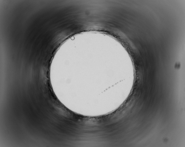 X0000103931217200810311509