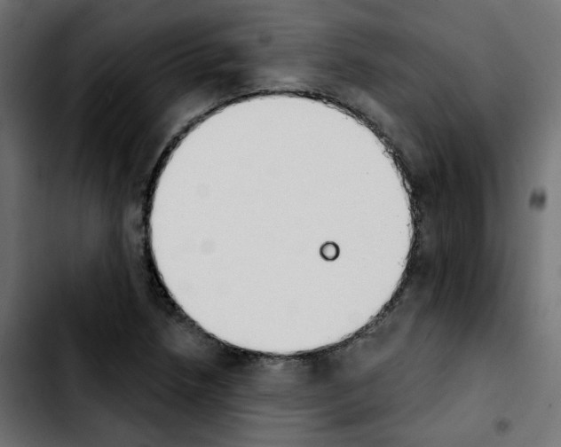 X0000103931218200810311509