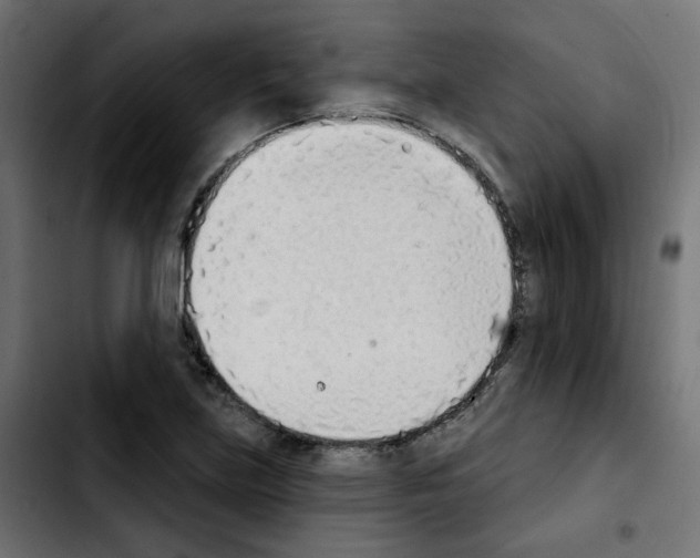 X0000103931219200810311509