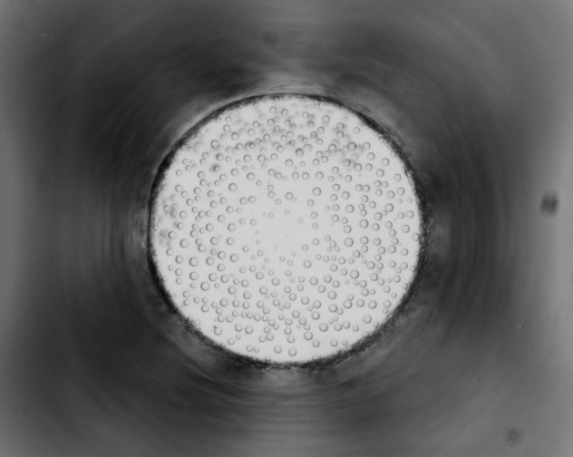 X0000103931220200810311509