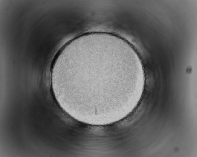 X0000103931221200810311509
