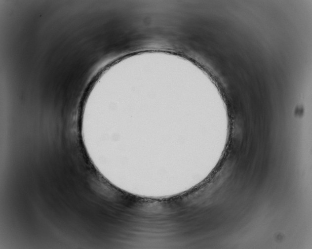 X0000103931222200810311509