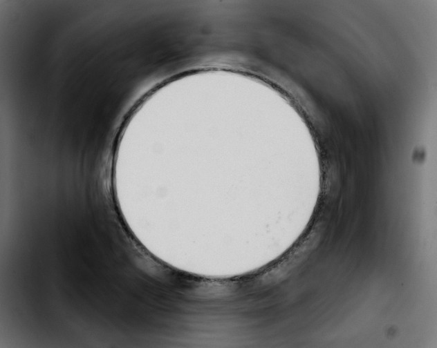 X0000103931224200810311509