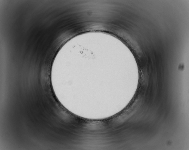 X0000103931225200810311509