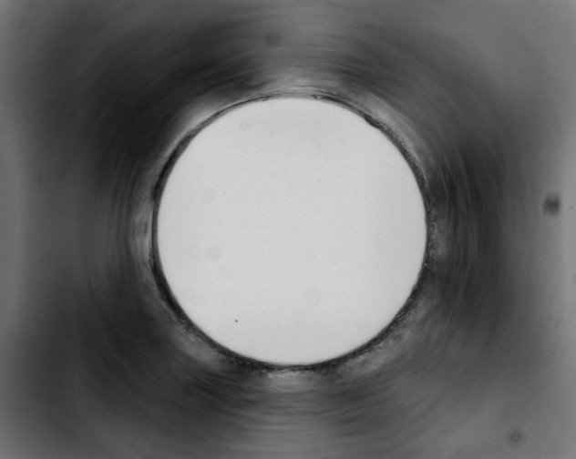 X0000103931227200810311510