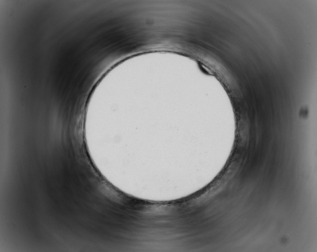 X0000103931228200810311510