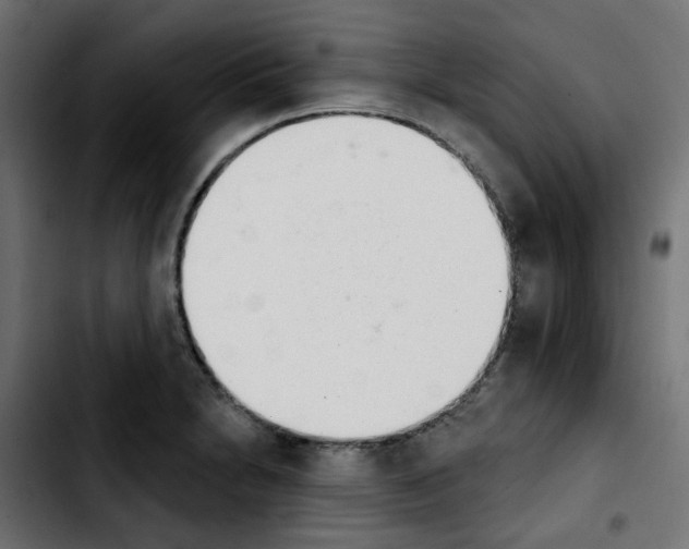 X0000103931230200810311510
