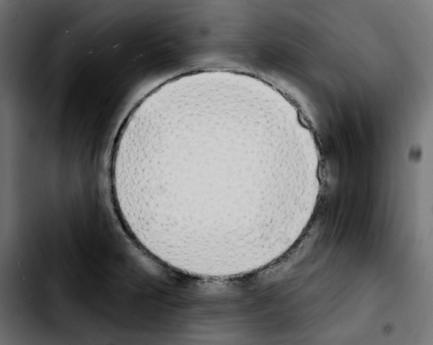 X0000103931231200810311510