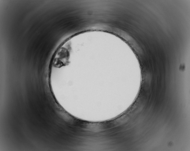 X0000103931232200810311510