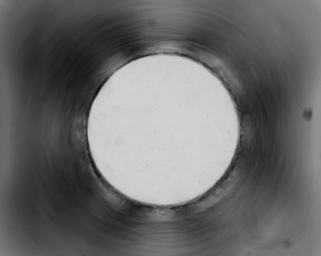 X0000103931233200810311510