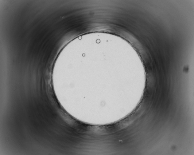 X0000103931234200810311510