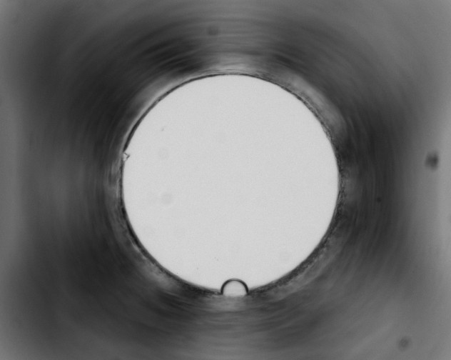 X0000103931236200810311510