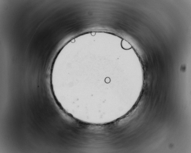 X0000103931237200810311510