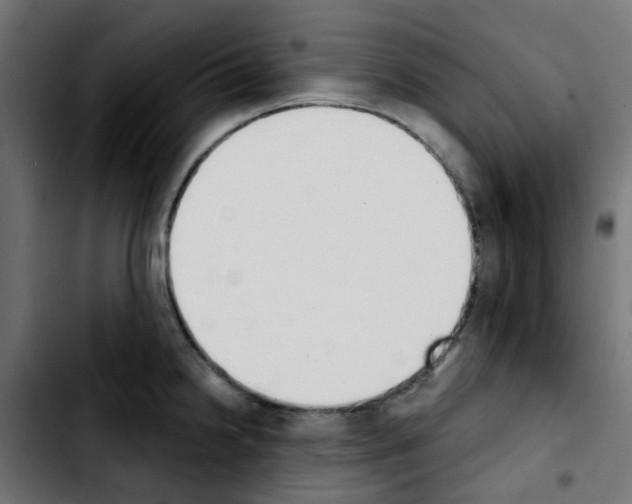 X0000103931238200810311510