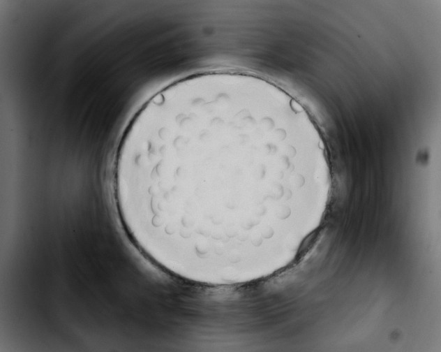 X0000103931239200810311510