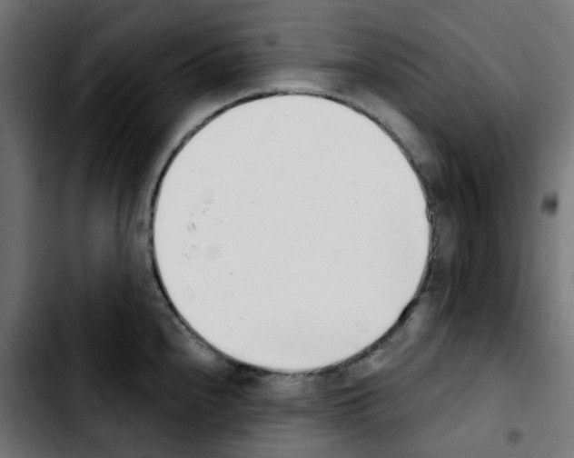X0000103931240200810311510