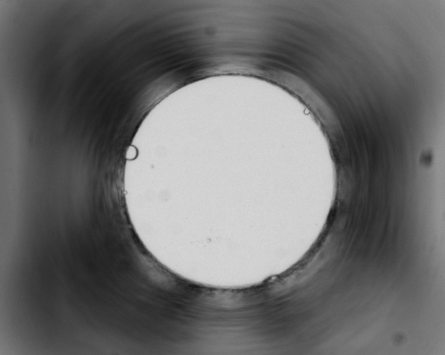 X0000103931241200810311510