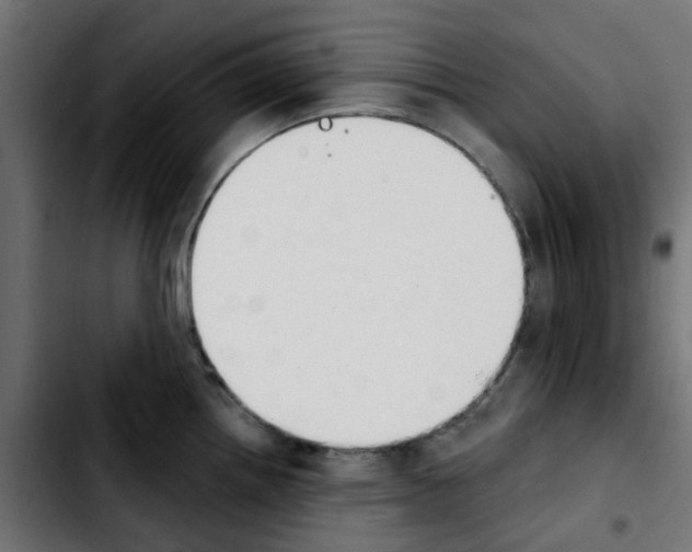 X0000103931242200810311510