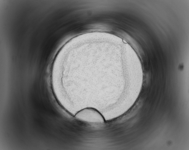 X0000103931243200810311510