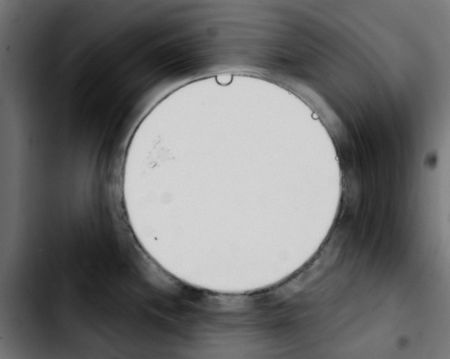 X0000103931244200810311510