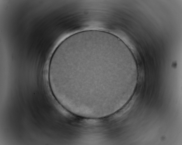 X0000103931246200810311510