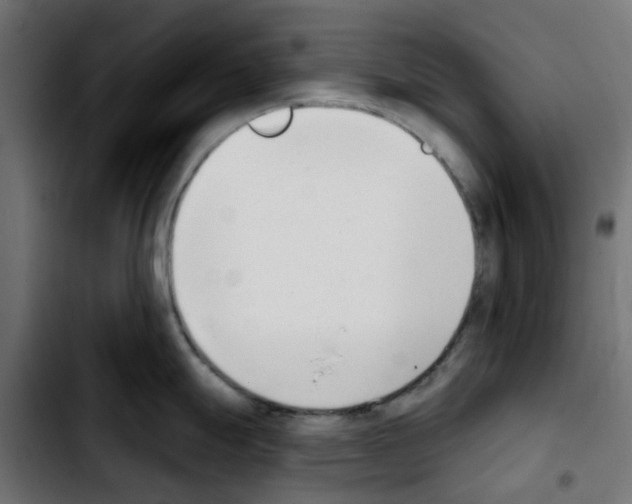X0000103931247200810311510