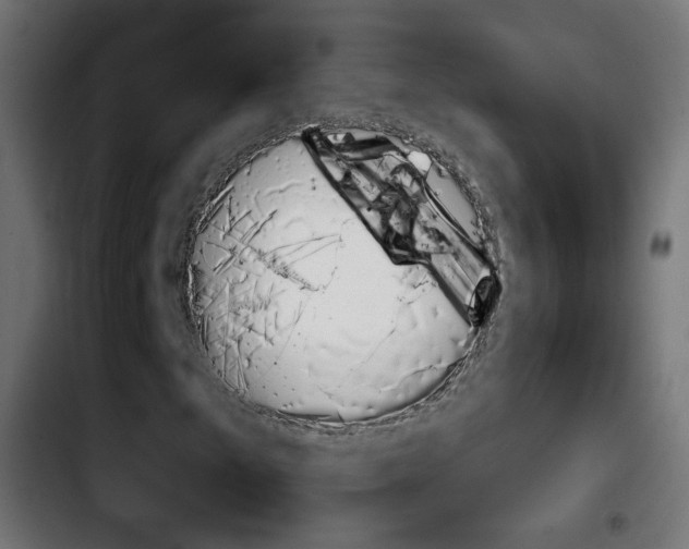 X0000103931249200810311509