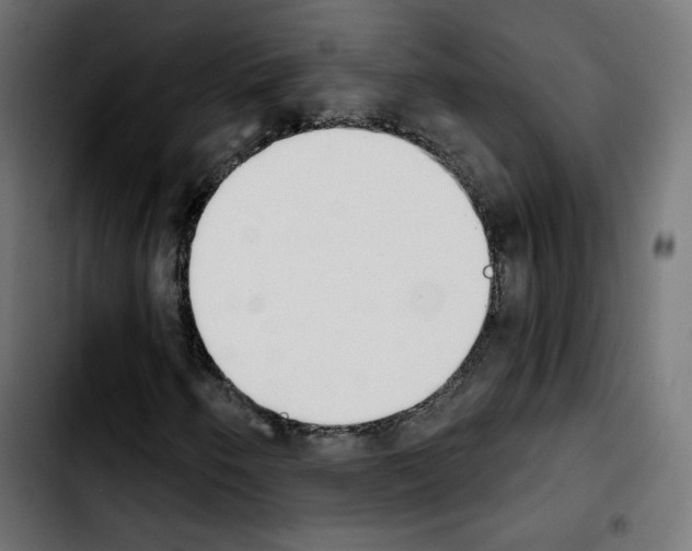 X0000103931250200810311509
