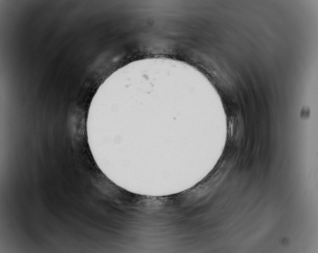 X0000103931251200810311509