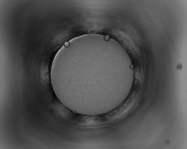 X0000103931252200810311509